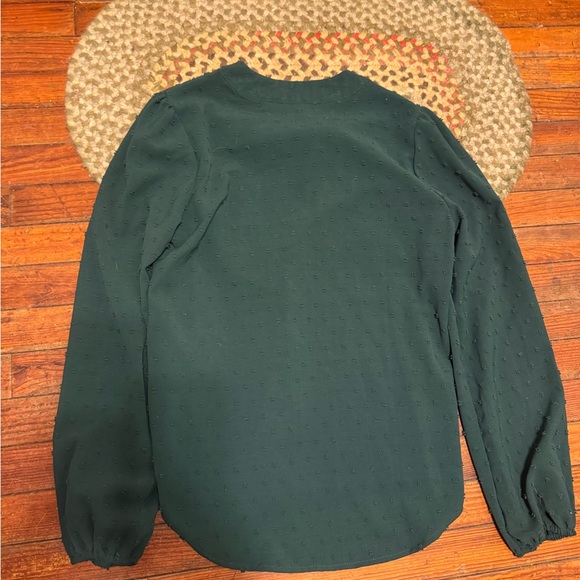 Elegant Green Swiss dot holiday Women's Top - Picture 4 of 5